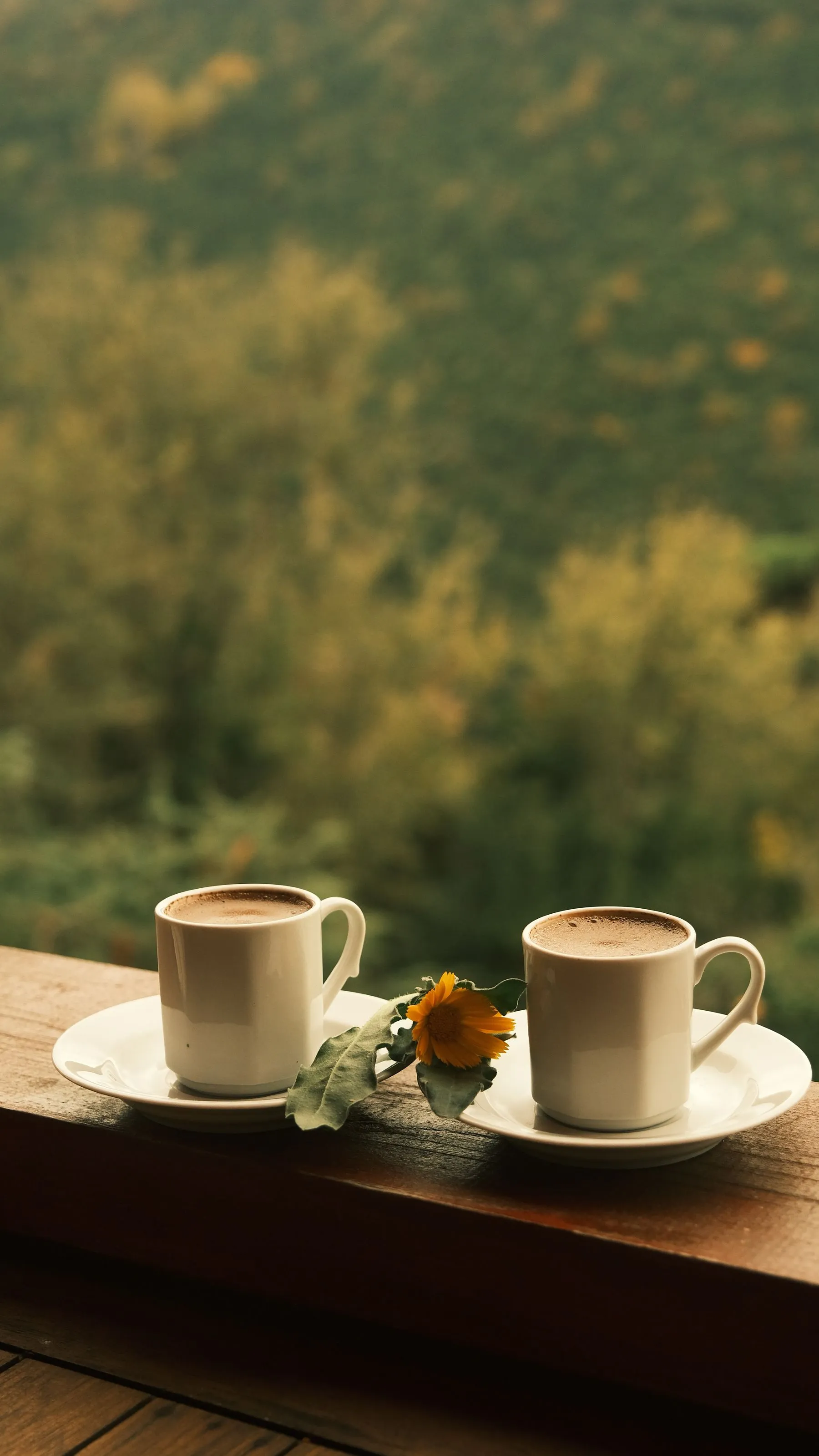 Due tazze di caffè su un balcone affacciato sul verde